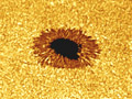 Image category The Sun