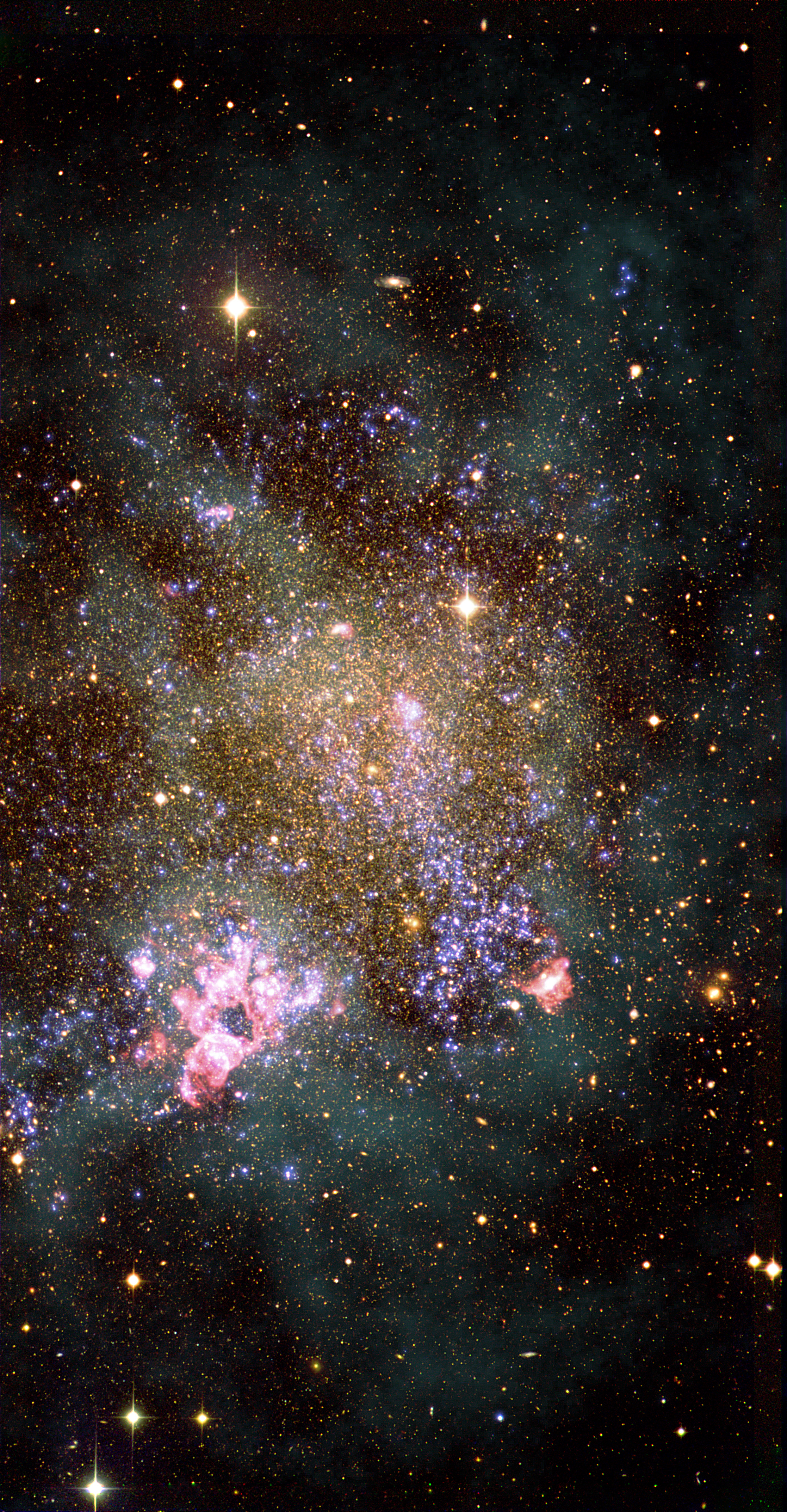 La galaxia IC1613 es una especie de Isla del Tesoro para los estudiosos de las estrellas masivas. Esta galaxia irregular enana todavía está formando estrellas, y descubrimos nuevas estrellas masivas con cada apuntado del GTC. Estos objetos experimentan altas temperaturas en su juventud y somos capaces de detectarlos con telescopios espaciales en el rango UV, lo que se refleja en los colores azules de la imagen. IC1613 tiene una reserva de gas hidrógeno neutro, la materia prima de donde se forman las estrellas, y que en la imagen vemos como una nube blanquecina. Las estrellas masivas jóvenes son capaces de ionizar la nube de hidrógeno en la que se formaron, y forman las burbujas rojizas que se ven en toda la imagen y su variante más espectacular en la parte inferior izquierda de la galaxia. IC1613 se ha convertido en foco de atención en los últimos años por su composición química, mucho más parecida a la del Universo primitivo que la de la Vía Láctea. A través del estudio de las estrellas masivas en IC1613, nos acercaremos un paso más a saber cómo eran las primeras estrellas del Universo.  CRÉDITOS: G. Pérez (SMM-IAC) y M. García (IAC). Imagen elaborada con datos de los telescopios WHT, GALEX y VLA.