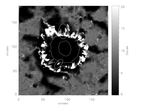 Cancellatio magnetogram.